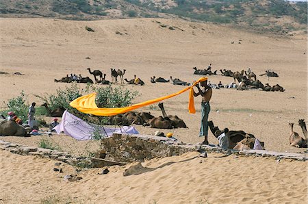 simsearch:851-02960506,k - Hindu winds his yellow turban back on, camel fair, Pushkar, Rajasthan, India, Asia Foto de stock - Con derechos protegidos, Código: 841-02915750