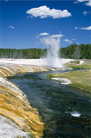 simsearch:841-02709810,k - Cliff Geyser jaillit de la Banque de geysérite sur le bord de la rivière Firehole à travers le bassin de sable noir, Parc National de Yellowstone, patrimoine mondial de l'UNESCO, Wyoming, États-Unis d'Amérique (États-Unis d'Amérique), Amérique du Nord Photographie de stock - Rights-Managed, Code: 841-02915775