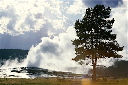 simsearch:841-03067261,k - Geothermal steam from geyser vent between eruptions, Yellowstone National Park, UNESCO World Heritage Site, Wyoming, United States of America (U.S.A.), North America Foto de stock - Con derechos protegidos, Código: 841-02915793