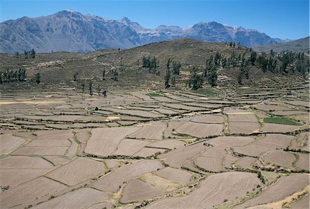 simsearch:841-02918765,k - Field patterns near Chivay in winter, above the Colca Canyon, Peru, South America Foto de stock - Con derechos protegidos, Código: 841-02915810