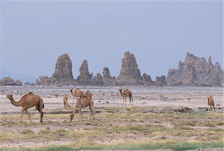 Tuf tours au Lac kadi (abbé), formée par des sources d'eau chaude sous les vieux lac au plus niveau, Triangle Afar, Djibouti, Afrique Photographie de stock - Rights-Managed, Code: 841-02915847