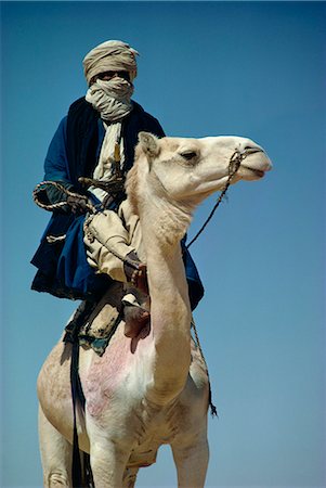 Camel and rider, Sahara Desert, Algeria, Africa Foto de stock - Con derechos protegidos, Código: 841-02915977