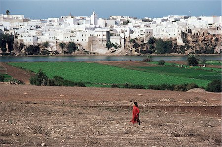 essaouira - Fields near Essaouira, Morocco, North Africa, Africa Stock Photo - Rights-Managed, Code: 841-02915983