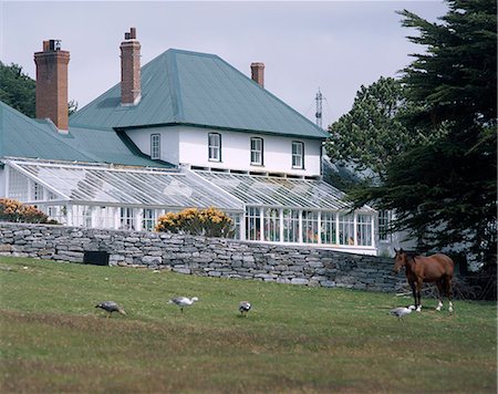 Exterior of Government House, Stanley, Falkland Islands, South America Foto de stock - Con derechos protegidos, Código: 841-02916148