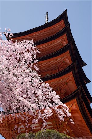 photographs japan temple flowers - Five storey pagoda and blossom, Miyajima, Japan, Asia Stock Photo - Rights-Managed, Code: 841-02916332