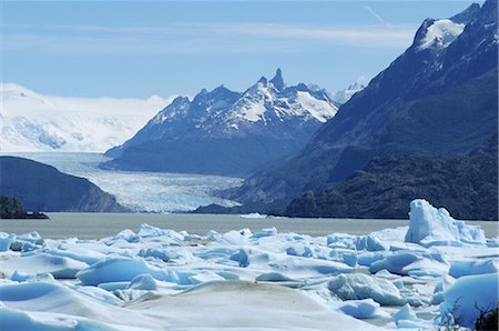 Grey Glacier, Torres del Paine National Park, Chile, South America Foto de stock - Con derechos protegidos, Código: 841-02916447