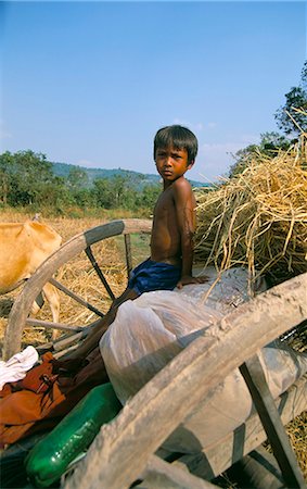simsearch:841-02916482,k - Farmer's son sitting on ox-cart, near Siem Reap, Cambodia, Indochina, Southeast Asia, Asia Foto de stock - Direito Controlado, Número: 841-02916483
