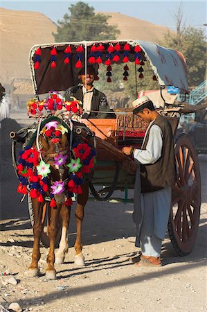 Man standing by colourful horse cart, Maimana, Faryab Province, Afghanistan, Asia Stock Photo - Rights-Managed, Code: 841-02917096
