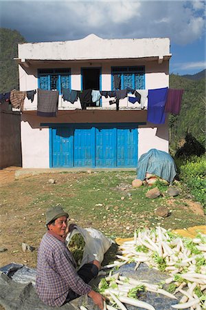 simsearch:841-02713081,k - Man sitting outside his house packing vegetables, Bandare village, Trisuli Valley, Nepal, Asia Fotografie stock - Rights-Managed, Codice: 841-02917399