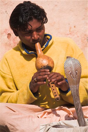east indian snake charmers - Snake charmer, Patan, Bagmati, Nepal, Asia Stock Photo - Rights-Managed, Code: 841-02917415