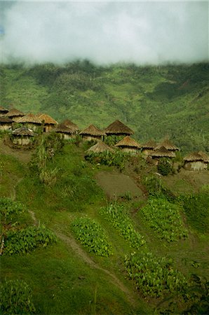 Yali village, Irian Jaya, Indonesia, Southeast Asia, Asia Foto de stock - Con derechos protegidos, Código: 841-02917566
