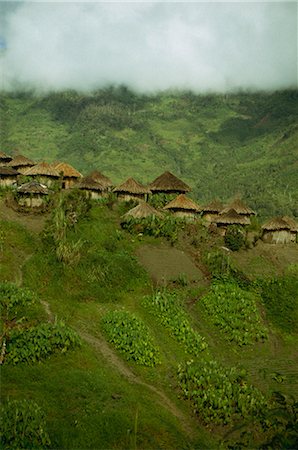 Yali village, Irian Jaya, Indonesia, Southeast Asia, Asia Stock Photo - Rights-Managed, Code: 841-02917566