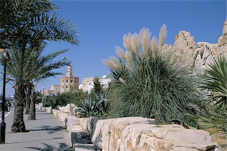 simsearch:841-03502480,k - The Medina, Yasmine Hammamet, Tunisia, North Africa, Africa Foto de stock - Con derechos protegidos, Código: 841-02917741