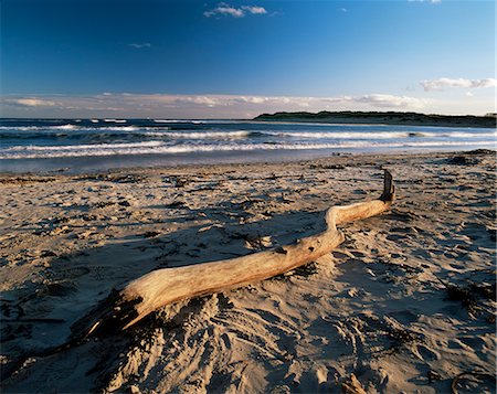 simsearch:841-02945307,k - Beach and sea at dusk, Alnmouth, Northumberland, England, United Kingdom, Europe Stock Photo - Rights-Managed, Code: 841-02917806