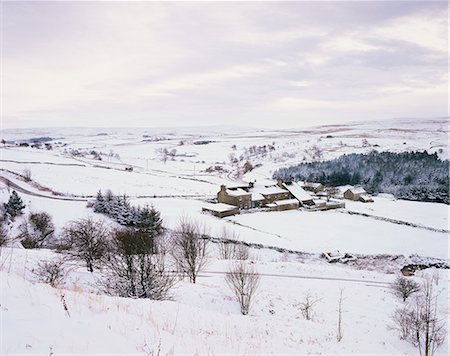 Snowy scene near Allenheads, Northumberland, England, United Kingdom, Europe Stock Photo - Rights-Managed, Code: 841-02917826