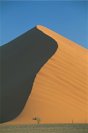 simsearch:841-02918824,k - Dune de sable et des arbres près de Sesriem, Namib Naukluft park, Namibie, Afrique Photographie de stock - Rights-Managed, Code: 841-02917903