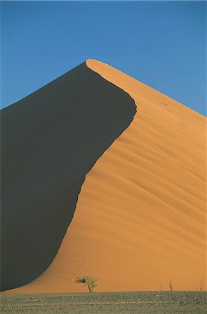 sesriem - Sand dune and tree near Sesriem, Namib Naukluft park, Namibia, Africa Foto de stock - Con derechos protegidos, Código: 841-02917903