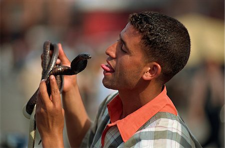 Snake charmer, Djemaa el Fna, Marrakesh, Morocco, North Africa, Africa Foto de stock - Con derechos protegidos, Código: 841-02917939