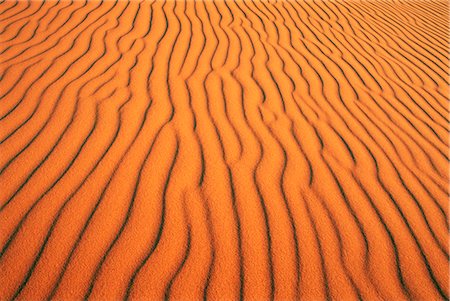 simsearch:841-02920006,k - Modèles dans les dunes de l'Erg Chebbi sable mer, désert du Sahara, près de Merzouga, Maroc, Afrique du Nord, Afrique Photographie de stock - Rights-Managed, Code: 841-02918058