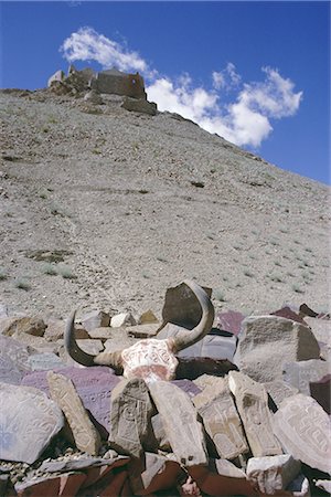 Long Zhu Que Dan, Ritu County, Tibet, China, Asia Foto de stock - Con derechos protegidos, Código: 841-02918258