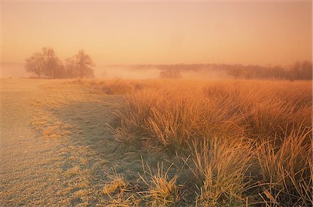 richmond park - Winter landscape looking towards Pen Ponds at sunrise in Richmond Park, Surrey, England, United Kingdom, Europe Stock Photo - Rights-Managed, Code: 841-02918280