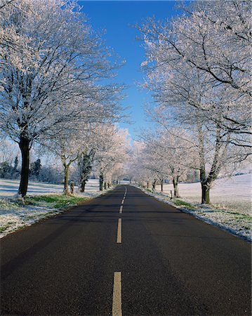 simsearch:841-02915137,k - Route tout droit vide par ruraux Lincolnshire en hiver, Angleterre, Royaume-Uni, Europe Photographie de stock - Rights-Managed, Code: 841-02918295