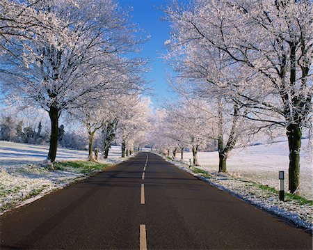 simsearch:841-02915137,k - Route tout droit vide par ruraux Lincolnshire en hiver, Angleterre, Royaume-Uni, Europe Photographie de stock - Rights-Managed, Code: 841-02918297