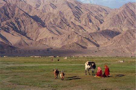 simsearch:841-02945891,k - Tadjik girls with cow and goats at Tashkurghan, China, Asia Stock Photo - Rights-Managed, Code: 841-02918583