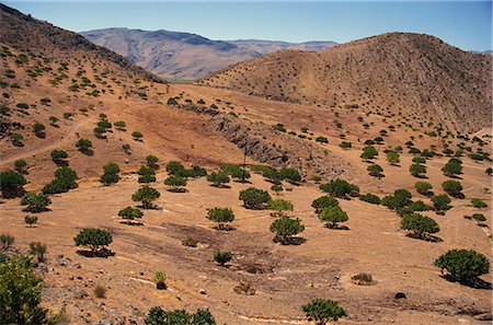 simsearch:841-02832719,k - Vue aérienne sur le paysage de la Province de Fars, avec oliviers, Iran, Moyen-Orient Photographie de stock - Rights-Managed, Code: 841-02918608