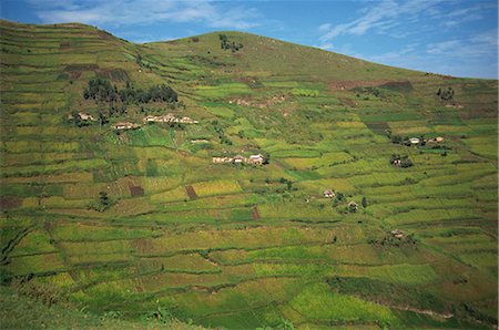 Champs en terrasse, près de Kisoro, en Ouganda, Afrique de l'est, Afrique Photographie de stock - Rights-Managed, Code: 841-02918629