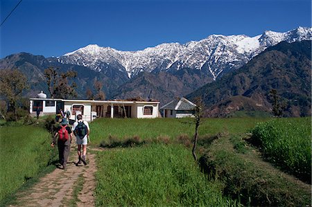 simsearch:841-02915234,k - Trekkers, Dhaula Dhar range, western Himalayas, India, Asia Fotografie stock - Rights-Managed, Codice: 841-02918640