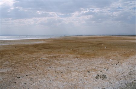 simsearch:841-02707296,k - Salt flats, Abyata (Abiyata) Lake, Rift Valley, Ethiopia, Africa Foto de stock - Con derechos protegidos, Código: 841-02918759