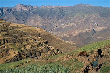 simsearch:841-02918765,k - Terraced fields near Ambikwa village, Simien Mountains National Park, UNESCO World Heritage Site, Ethiopia, Africa Foto de stock - Con derechos protegidos, Código: 841-02918765