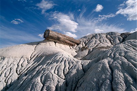 Petrified Forest National Park, Arizona, United States of America (U.S.A.), North America Foto de stock - Con derechos protegidos, Código: 841-02918923