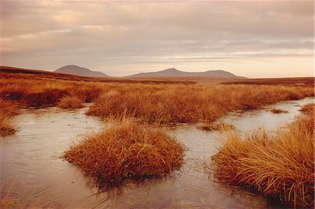 simsearch:841-02720481,k - Caithness, Highlands Region, Scotland, United Kingdom, Europe Foto de stock - Con derechos protegidos, Código: 841-02919014