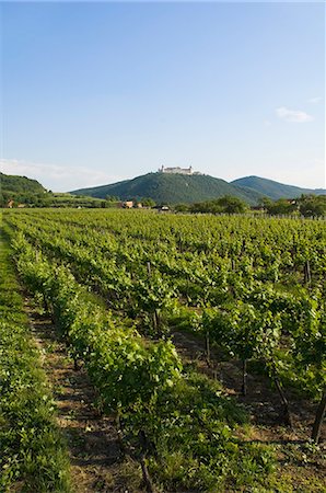 simsearch:841-03031356,k - Stift Gottweig, near Krems an der Donau, Wachau, Austria, Europe Foto de stock - Con derechos protegidos, Código: 841-02919177