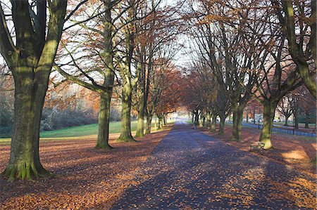 Clifton Downs, Bristol, England, United Kingdom, Europe Fotografie stock - Rights-Managed, Codice: 841-02919225