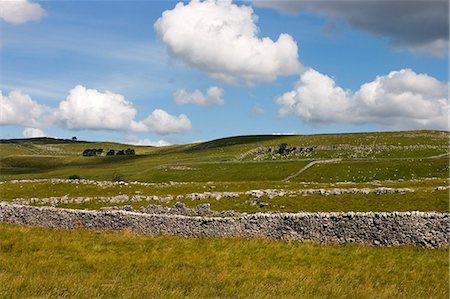 simsearch:841-02919850,k - Die Dales-Weg-Wanderweg, Trockenmauern und Kalkstein-Landschaft, Grassington, Yorkshire Dales National Park, North Yorkshire, England, Vereinigtes Königreich, Europa Stockbilder - Lizenzpflichtiges, Bildnummer: 841-02919827