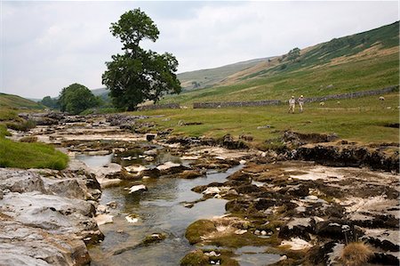 simsearch:841-03032265,k - La rivière Wharfe, haute Wharfedale (Langstrothdale), près de Hubberholme, Parc National de Yorkshire Dales, North Yorkshire, Angleterre, Royaume-Uni, Europe Photographie de stock - Rights-Managed, Code: 841-02919834