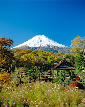 simsearch:841-03672276,k - Mt. Fuji, Japon Photographie de stock - Rights-Managed, Code: 841-02919947