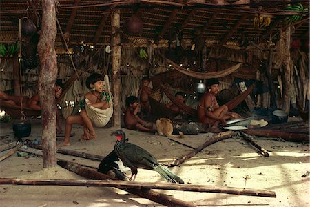Jacu bird in hut with Yanomami Indians, Brazil, South America Stock Photo - Rights-Managed, Code: 841-02924014