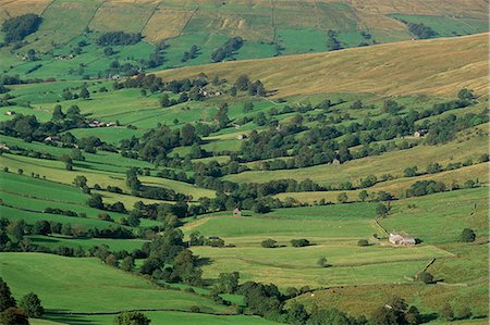 simsearch:841-02899748,k - Deepdale, near Dent, North Yorkshire, Yorkshire, England, United Kingdom, Europe Foto de stock - Con derechos protegidos, Código: 841-02924087