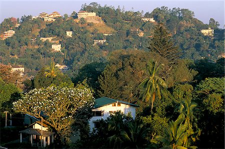 Bungalows on hill by the lake, Kandy, Sri Lanka, Asia Stock Photo - Rights-Managed, Code: 841-02924321