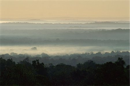 simsearch:841-02924427,k - Dawn over rain forest of Biosphere Reserve, Peten, Guatemala, Central America Stock Photo - Rights-Managed, Code: 841-02924463