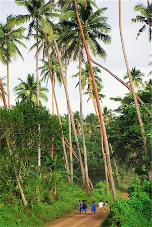 Schulkinder zu Fuß durch Kokosplantage, Insel Taveuni, Fiji, Pazifische Inseln, im Pazifischen Ozean Stockbilder - Lizenzpflichtiges, Bildnummer: 841-02924505