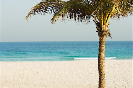 Jumeirah Beach, Dubai, United Arab Emirates, Middle East Stock Photo - Rights-Managed, Code: 841-02924611