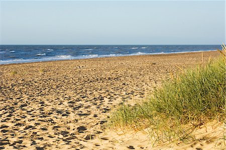 simsearch:841-03517220,k - Beach, Southwold, Suffolk, England, United Kingdom, Europe Stock Photo - Rights-Managed, Code: 841-02924728