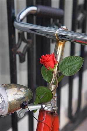 Close up of a bicycle with a rose for decoration, Amsterdam, Netherlands, Europe Stock Photo - Rights-Managed, Code: 841-02925242