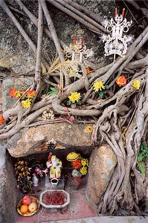 flowers roots - Shrine, Pak Tai Temple, Stanley, Hong Kong, China, Asia Stock Photo - Rights-Managed, Code: 841-02925373
