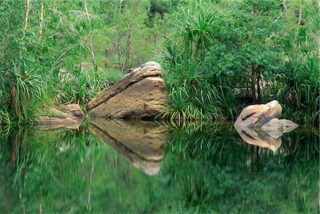simsearch:841-03067267,k - Réflexions des roches et des espèces de Pandanus dans les eaux du ruisseau Jim Jim dans le Parc National de Kakadu, territoire du Nord, Australie, Pacifique Photographie de stock - Rights-Managed, Code: 841-02925428
